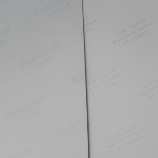 Lot of 3 Original 11x14 Nature Photographs Landscapes Trees Pond Autumn Colors