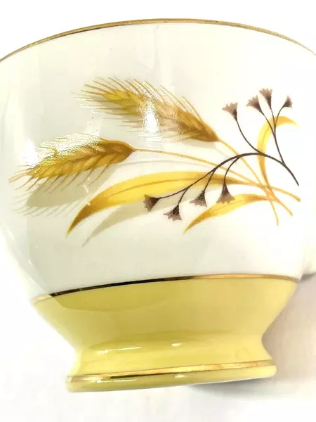 Century Service Corp Autumn Gold Footed Coffee Cup Vintage Pre-Owned Cup