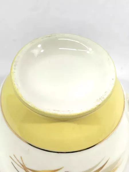 Century Service Corp Autumn Gold Footed Coffee Cup Vintage Pre-Owned Cup