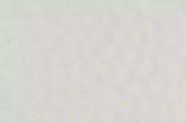 Luna Park 11" Oval Serving Plate Silver Rim White Embossed Dishwasher Safe