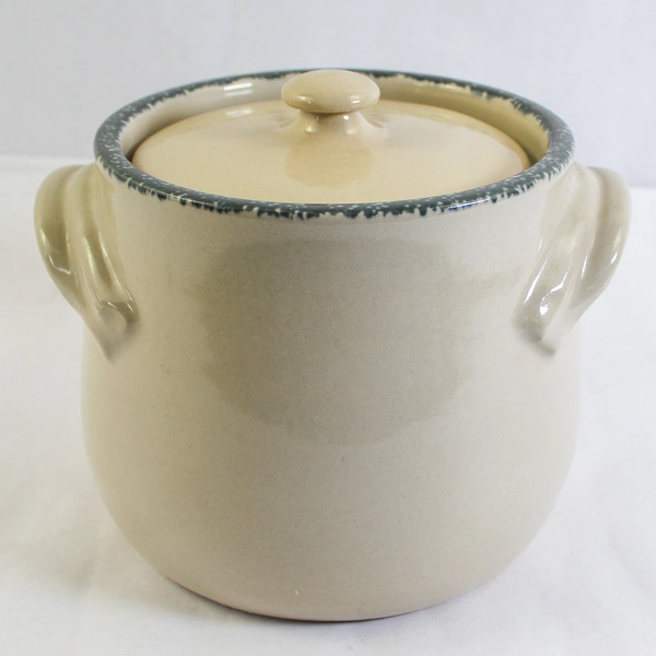 Home & Garden Ltd Handmade Cookie Jar 2002 Cream Birdhouses Kitchen Jar