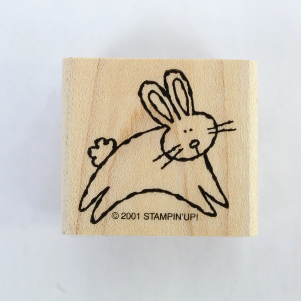 Lot of 8 Pre-Owned 2001 Stampin' Up Rubber Stamps Flowers Bunny Dragonfly