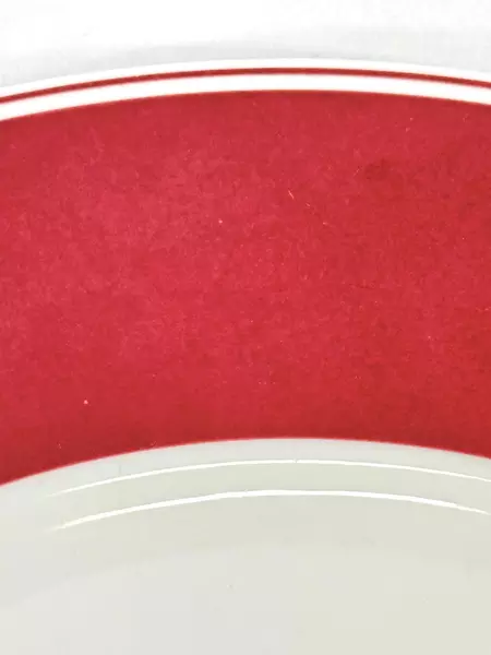 Villeroy & Boch Zurich Maroon 12" Porcelain Dishwasher-Safe Platter #1748