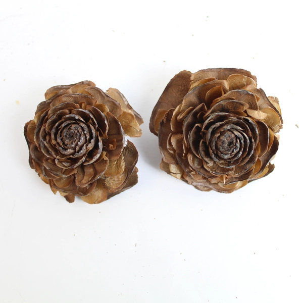 Lot of 20 Real Pine Cones Various Sizes for DIY Holiday Crafts Decor