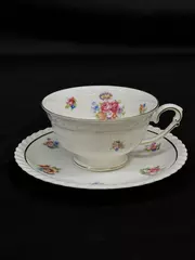 Vintage Franconia Krautheim Gretchen Teacup And Saucer Set