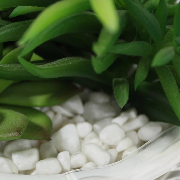 Artificial Succulent Arrangement in Taupe Planter 8.5" Tall Home Decor