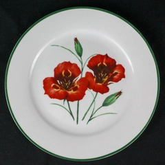 National Wildlife Decorative Plate 10.5" Poppy Flower Green Trim Pre-Owned