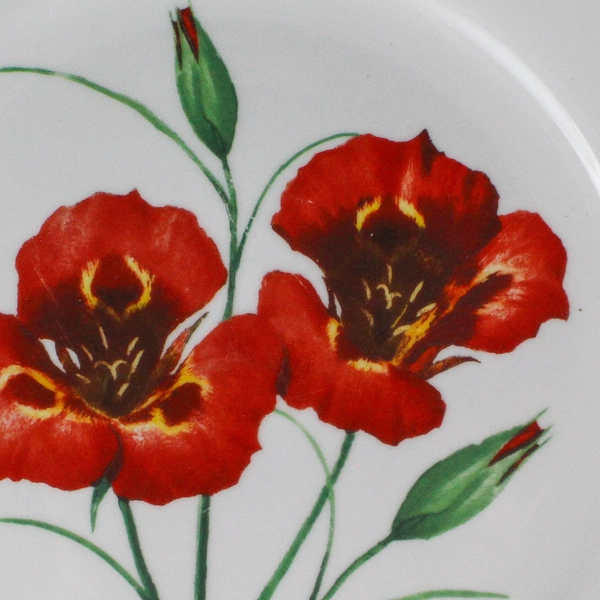 National Wildlife Decorative Plate 10.5" Poppy Flower Green Trim Pre-Owned