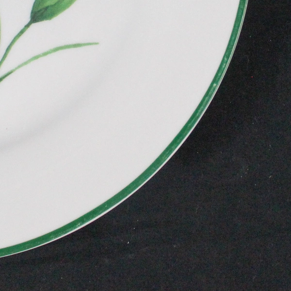 National Wildlife Decorative Plate 10.5" Poppy Flower Green Trim Pre-Owned