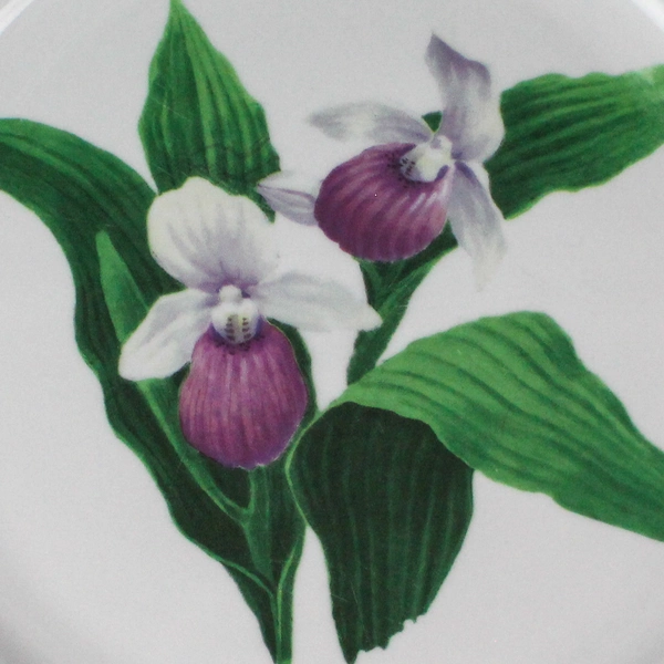 National Wildlife Federation Orchid Decorative Plate Green Trim 10.5"