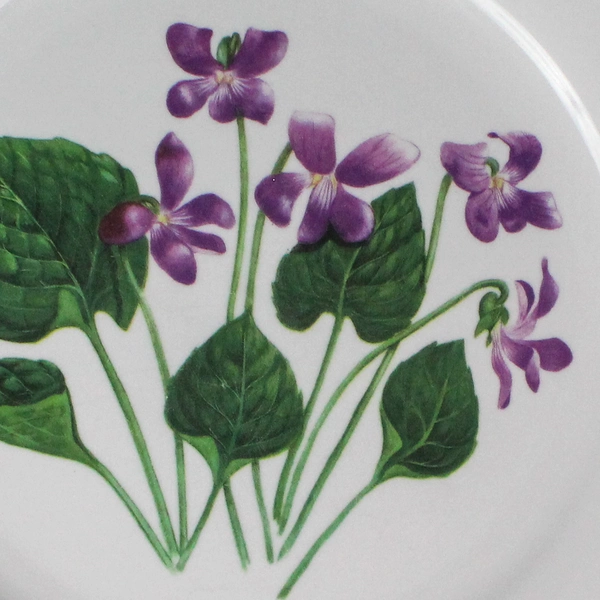 National Wildlife Decorative Plate Purple Flowers Green Trim 10.5" Diameter