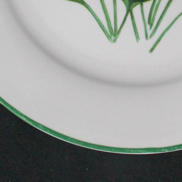 National Wildlife Decorative Plate Purple Flowers Green Trim 10.5" Diameter