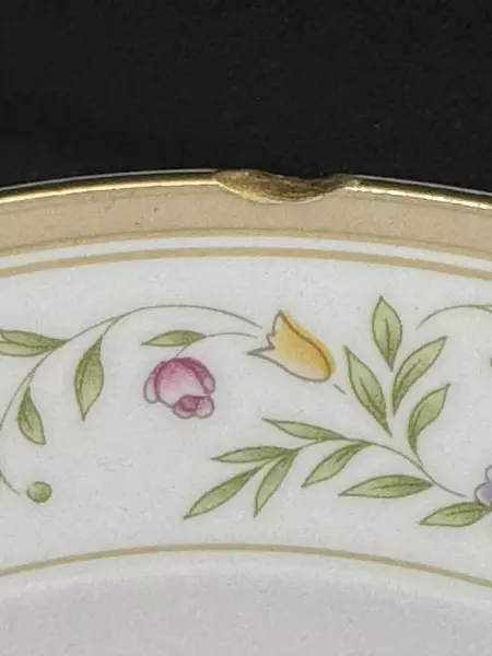 Lot of 6 Farberware Bellini Floral 9" Large Rim Bowls Porcelain Gold Trim