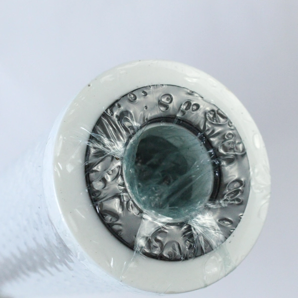 iSpring CTO Carbon Filter 5 Micron Model FC25 Sealed Great Condition