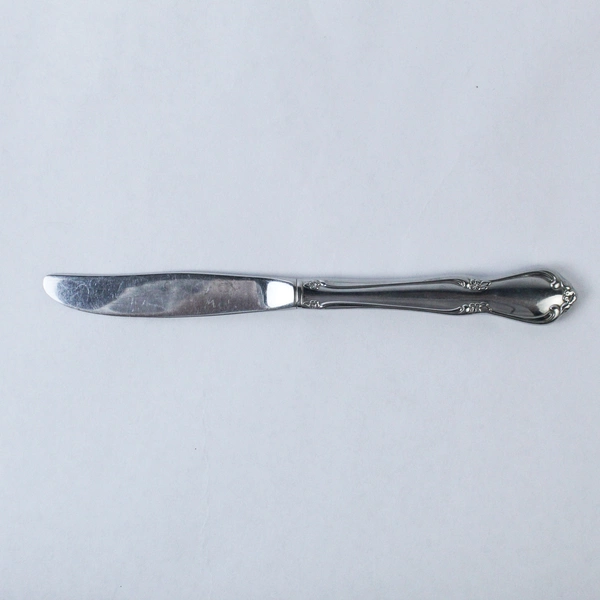 Lot of 4 Oneida Homestead Stainless Steel Dinner Knives Hollow Handle