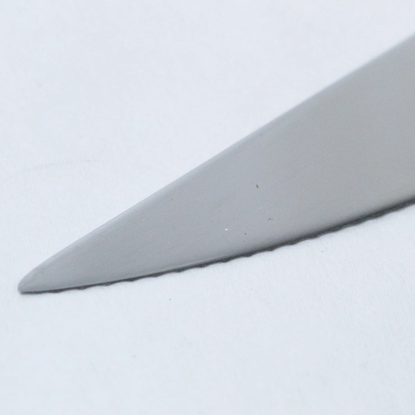 Ecko Eterna 9.5" Serrated Stainless Steel Carving Knife Pre-Owned