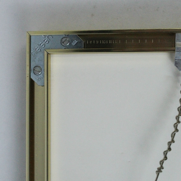 Set of 2 Signed Barbara Hagan Watercolor Flower Paintings in Gold Frames