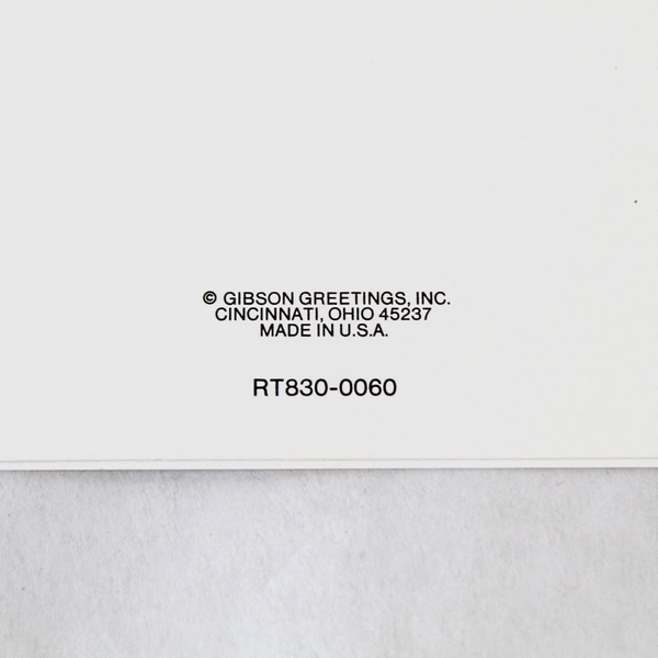 Lot of 7 Gibson Greetings Floral Blank Greeting Cards with Envelopes 3.75x5.75