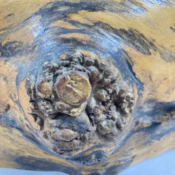 Burlcraft Of Oregon Handmade Burlwood Box Caddy Tote With A Handle