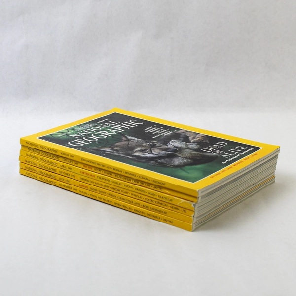 Lot of 6 Vintage 1995 National Geographic Magazines Jan Mar Apr Jul Oct Nov