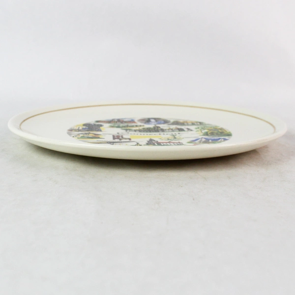 Vintage Conrad Crafting White Gold Trim Norwich Connecticut Map Souvenir Plate 