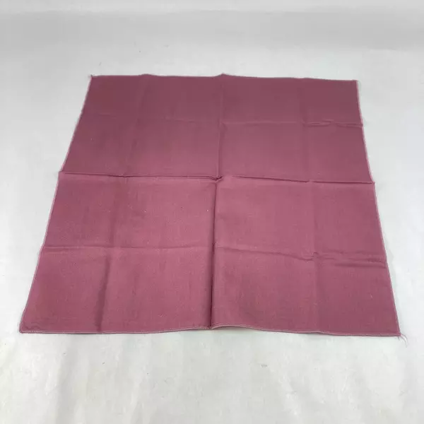 Set of 6 Plum Colored Cloth Placemats 17x17 Inch Dining Table Mats