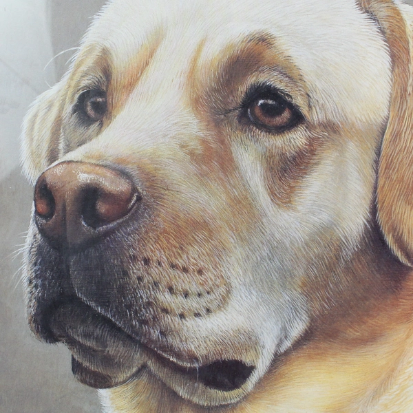 Framed Brian Hupfield Labrador Retriever Art Print 12.5x16.5" - Pre-Owned