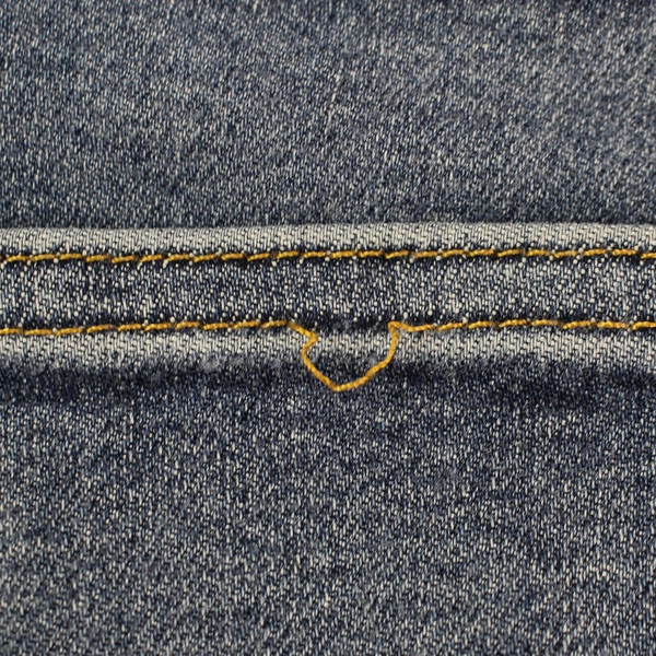 Everlane The Way-High Skinny Jean Blue Cotton Women's Size 30 Regular