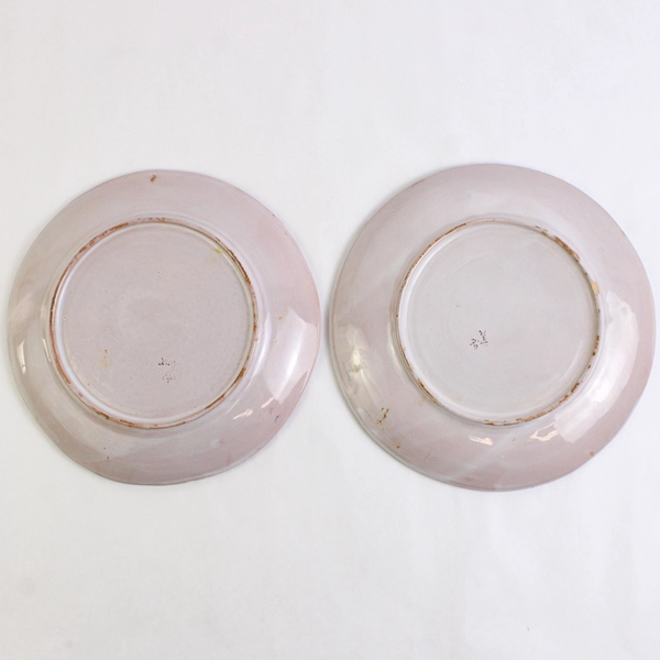 Set of 2 Colorful Hand-Painted Ceramic Plates 9.5" Made in Nove Italy