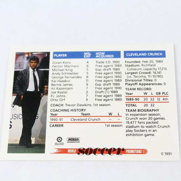 1991 MISL Soccer Shots Lot of 29 Cards - Great for Collectors!
