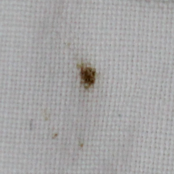 VTG Purple Flower Embroidered Queen Pillowcases - Pre-Owned, Flawed