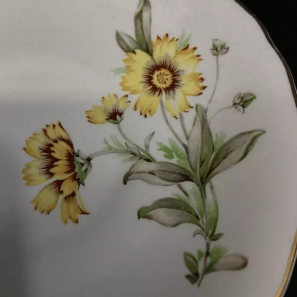 Porcelain Tea Cup & Saucer Set White Gold Trim Yellow Flowers - Collectible