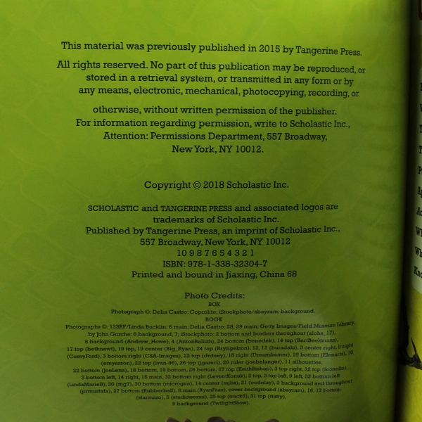 Big Dig Excavation Kit 2018 Scholastic with Fossils & Excavating Tools