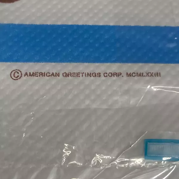 Vintage 1973 Holly Hobbie Paper Tablecloth NIP - Collectible Table Cover