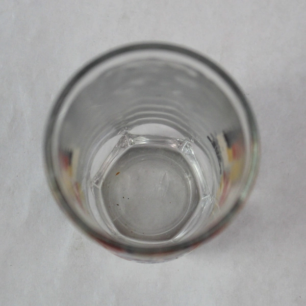 Doña Maria Limited Edition Catrina Glass - Día de los Muertos Decoration