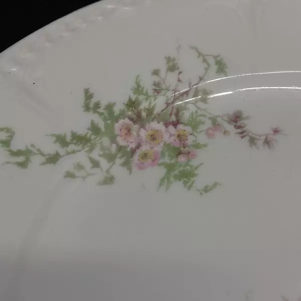 Vintage Haviland Limoges Dinner Plate White Pink Flowers 9.5" Beautiful Elegance