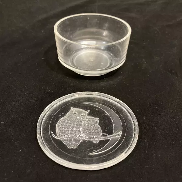 Vintage Round Lucite Owl Trinket Box - Whimsical Clear Collectible