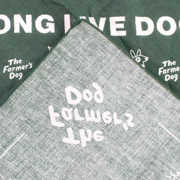 The Farmer's Dog Long Live Dogs Green Scarf Bandana 21"x21" Pre-Owned