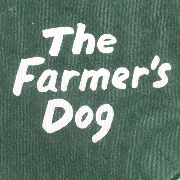 The Farmer's Dog Long Live Dogs Green Scarf Bandana 21"x21" Pre-Owned