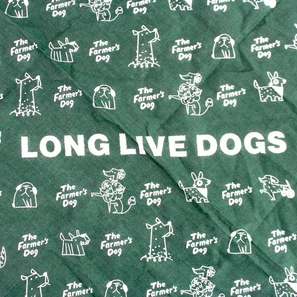 The Farmer's Dog Long Live Dogs Green Scarf Bandana 21"x21" Pre-Owned