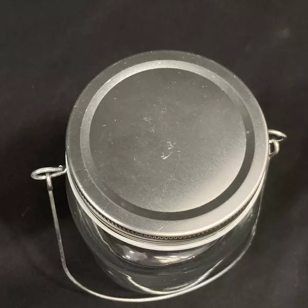 4 Clear Glass Pint Jars with Lids & Wire Bails for Crafting & DIY Decor