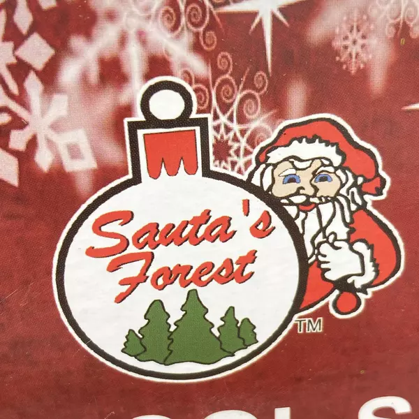 Santa's Forest 200 LED Christmas Light String Spool Series C5 Clear Glitter