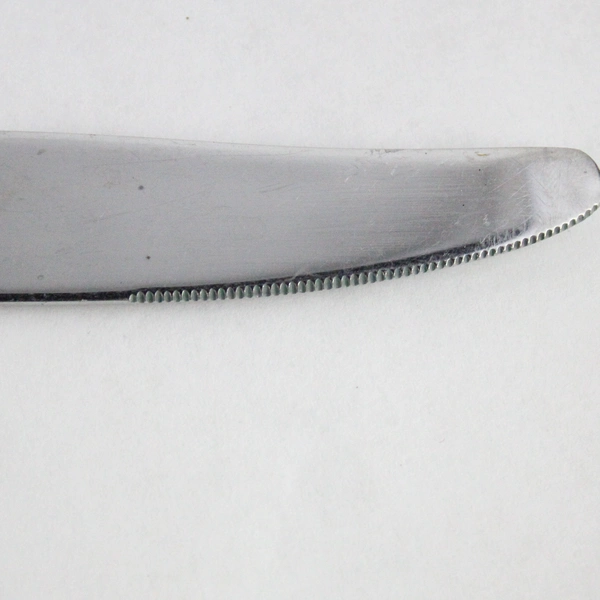 Lot of 4 Oneida Jacqueline Butter Knives Stainless Steel Matte Finish