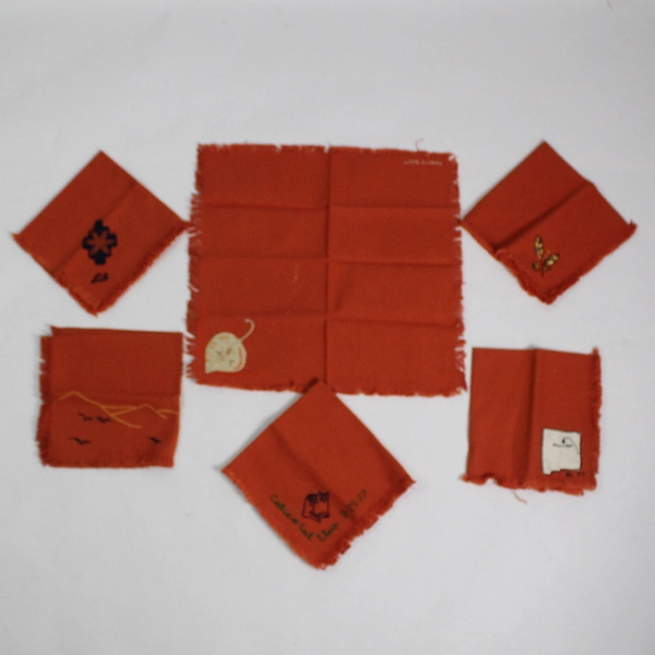 Lot of 12 Hand Embroidered Cloth Napkins Square Pumpkin Orange 15.5" x 15.5"