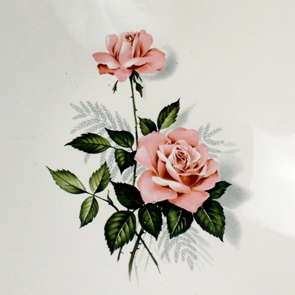 Taylor Smith Taylor Summer Rose Platinum Round Vegetable Bowl 10 inch