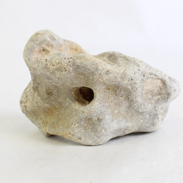 Hag Stone Adder Rock with Healing Properties Unique Natural Collectible