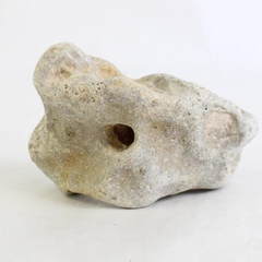 Hag Stone Adder Rock with Healing Properties Unique Natural Collectible