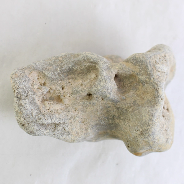 Hag Stone Adder Rock with Healing Properties Unique Natural Collectible