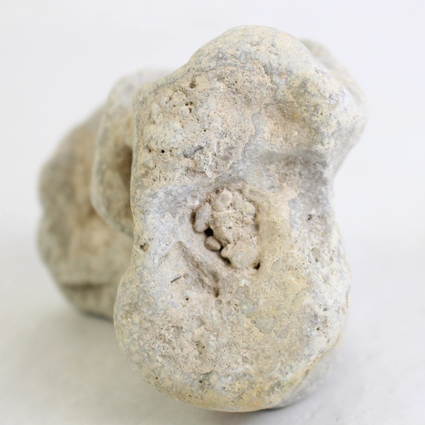 Hag Stone Adder Rock with Healing Properties Unique Natural Collectible