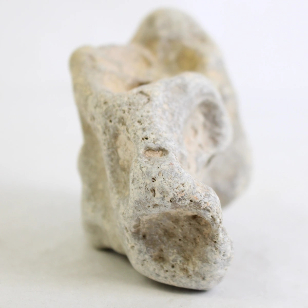 Hag Stone Adder Rock with Healing Properties Unique Natural Collectible